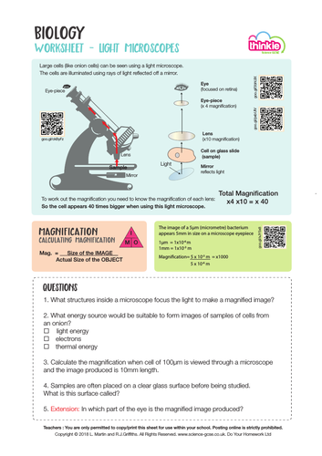 Light Microscopes and Magnification Worksheet - Biology GCSE 2016