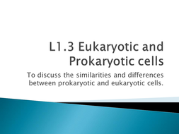 Prokaryotes and Eukaryotes GCSE Biology | Teaching Resources