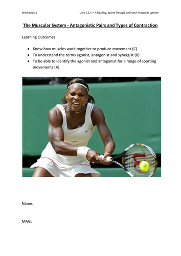 Edexcel GCSE PE 1.2.4 - A healthy, active lifestyle and your muscular ...