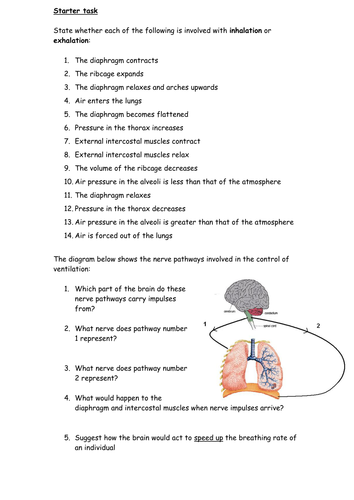 Ventilation, use of a spirometer and interpretation of spirometer traces