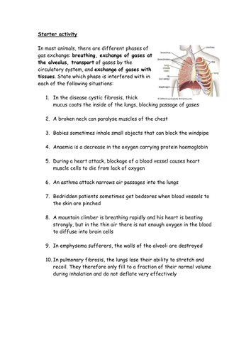 Gas exchange, breathing, transport of gases - what can interfere with each stage?