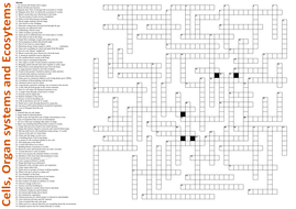 Three HUGE Revision Criss Cross Puzzles for Unit 1 WJEC Science