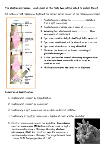 Electron microscopes - a review of how they function and comparison with a light microscope