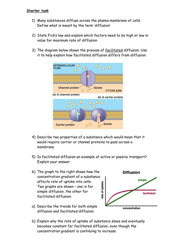 Facilitated diffusion