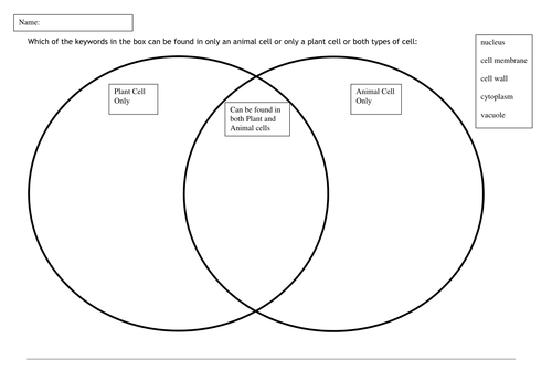 Animal and Plant Cells Worksheets | Teaching Resources