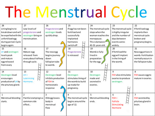 B1 35 The Menstrual Cycle By Kitipher Teaching Resources Tes 9565