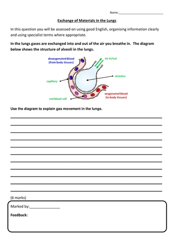 New AQA Biology The Heart & Circulation Lesson | Teaching Resources