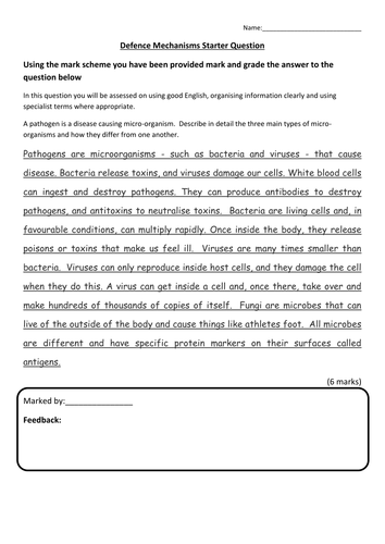 docx, 17.85 KB