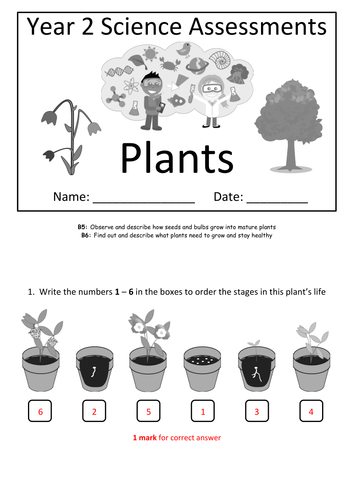 year 2 science assessment plants teaching resources