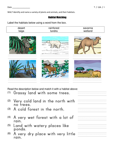 habitat matching worksheets differentiated year 2 key