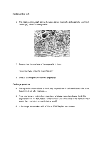 Calculating magnification of a mitochondrion, role of mitochondrion and electron microscope