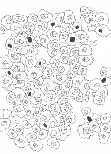 Barnacles | Teaching Resources