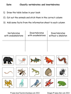 Animals with Skeletons and Without Skeletons KS2 Lesson Plan and ...