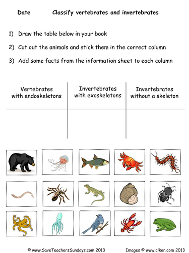 Animals with Skeletons and Without Skeletons KS2 Lesson Plan and