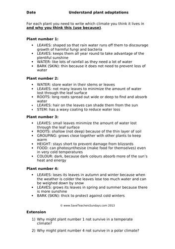 Plant Adaptations KS2 Lesson Plan and Worksheets | Teaching Resources