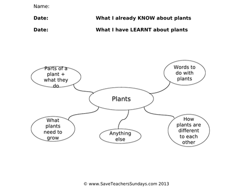 Plant Adaptations KS2 Lesson Plan and Worksheets | Teaching Resources