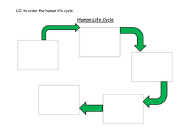 KS1 Human life cycle and growing up by Mandem2014 - Teaching Resources ...