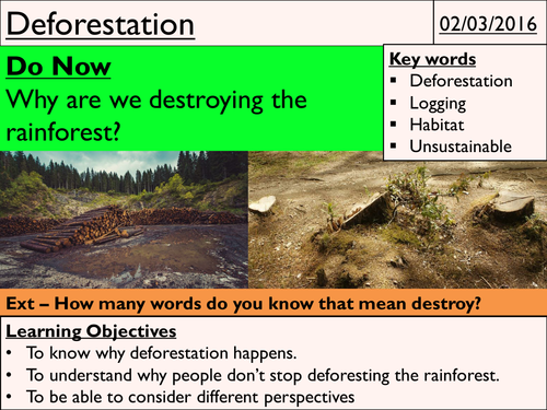 Deforestation | Teaching Resources