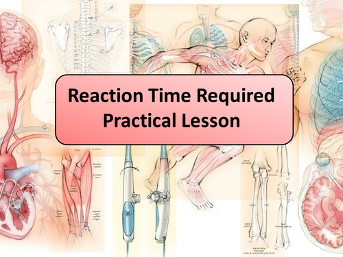 New AQA GCSE Biology Reaction Time Required Practical Lesson | Teaching ...