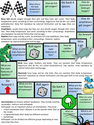 A Level Biology Biology Classification Systems Lesson & Activities ...