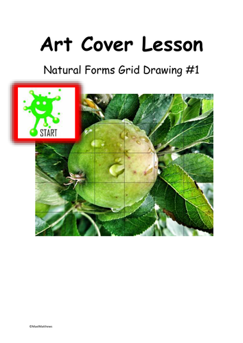 Art Cover Lesson Grid Drawing. Natural Forms 1