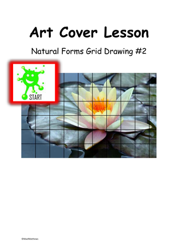 Art Cover Lesson Grid Drawing. Natural Forms 2