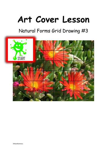 Art Cover Lesson Grid Drawing. Natural Forms 3