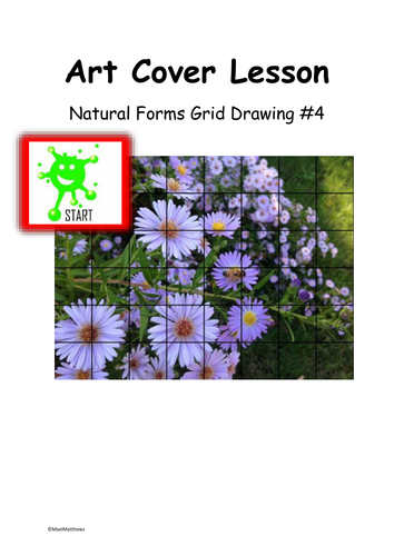 Art Cover Lesson Grid Drawing. Natural Forms 4