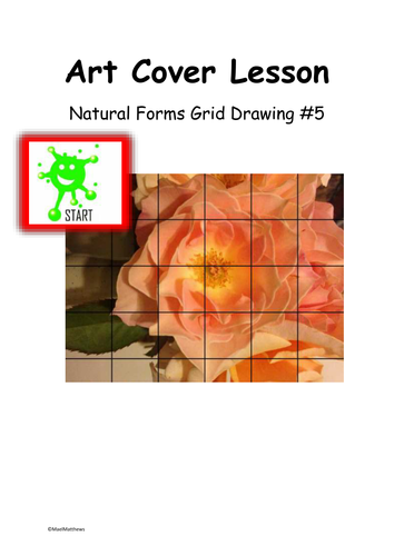 Art Cover Lesson Grid Drawing. Natural Forms 5