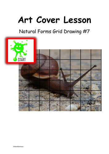 Art Cover Lesson Grid Drawing. Natural Forms 7
