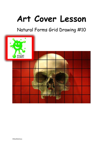Art Cover Lesson Grid Drawing. Natural Forms 10