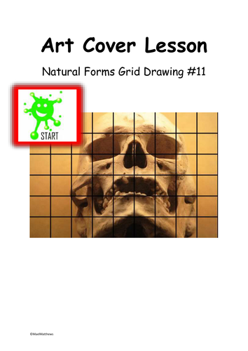 Art Cover Lesson Grid Drawing. Natural Forms 11