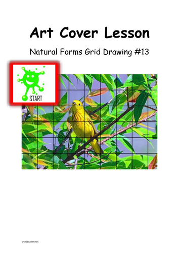 Art Cover Lesson Grid Drawing. Natural Forms 13