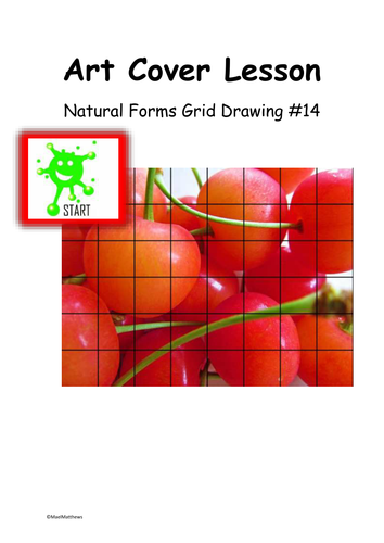 Art Cover Lesson Grid Drawing. Natural Forms 14