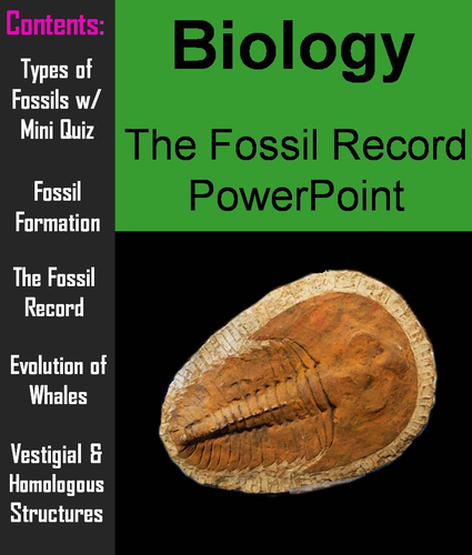 Fossil Record PowerPoint