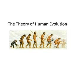 Human Evolution PowerPoint | Teaching Resources