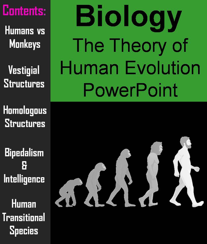 Human Evolution PowerPoint