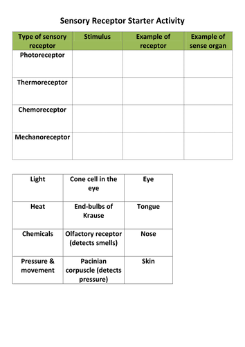 Misconceptions about the nervous system image