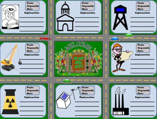 Cell Structures Activity: Cell Organelles