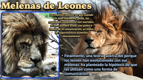El León - PowerPoint | Teaching Resources