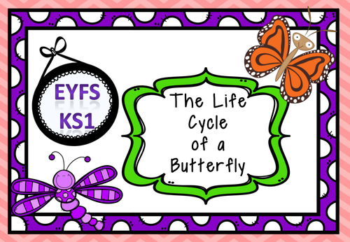 The Life Cycle of The Butterfly