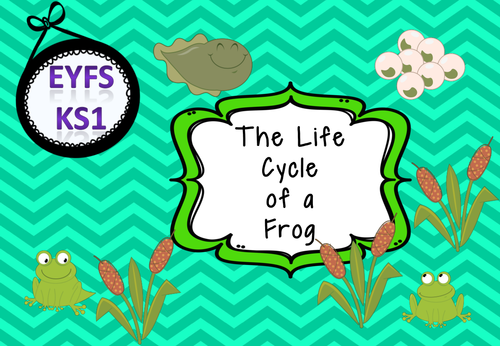 The Life Cycle of a Frog