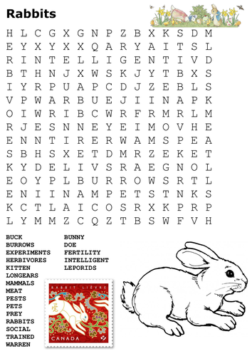Pets Word Search Pack | Teaching Resources