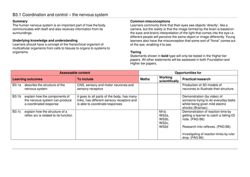 A complete SoW for OCR GCSE 9-1 Gateway Combined Science/Biology B3.1