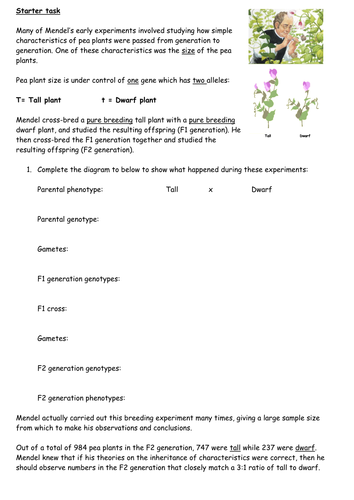 Gregor Mendel and the chi-squared test