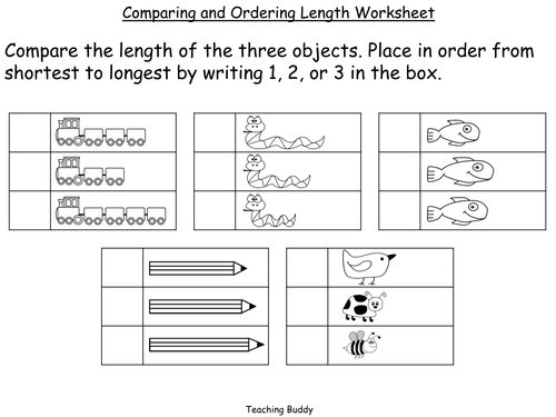 Comparing and Ordering Lengths | Teaching Resources