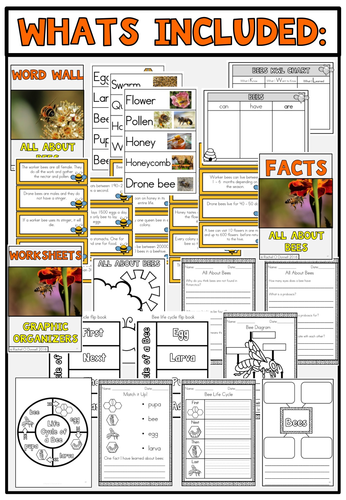 All About Bees | Teaching Resources