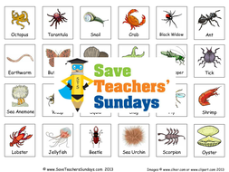 Classifying Invertebrates KS2 Lesson Plan and Worksheet | Teaching ...