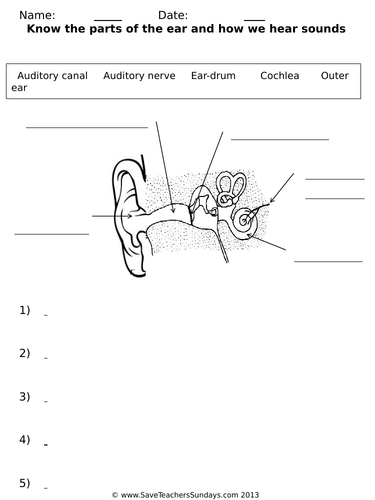 Sound Year 4 Planning and Resources | Teaching Resources