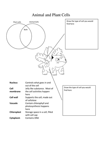 Pokemon Science - Animal and Plant Cells
